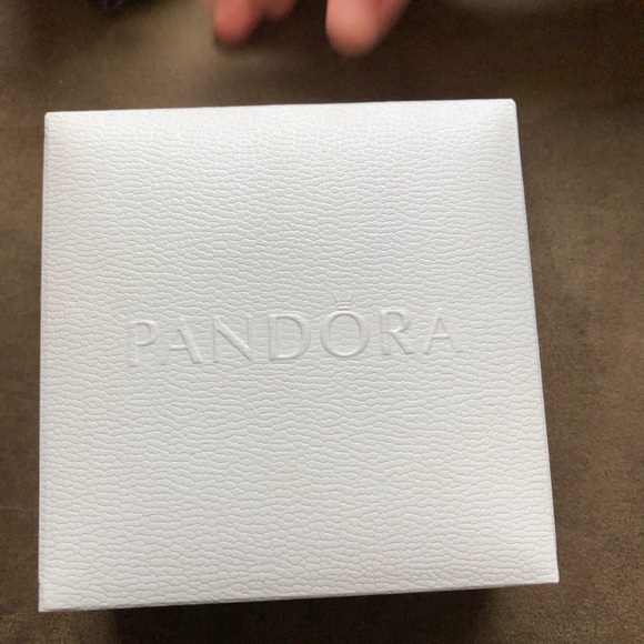 Pandora 14k Gold Plated Reflexion Mesh Bracelet w/ Pandora Charms & Safely Chain - Picture 13 of 15